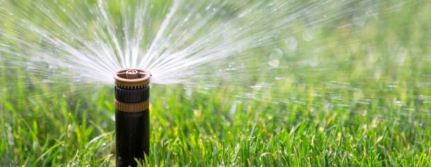 Regen- und Grauwassernutzung